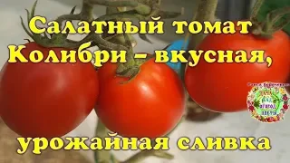 Салатный томат Колибри -  вкусная, урожайная сливка