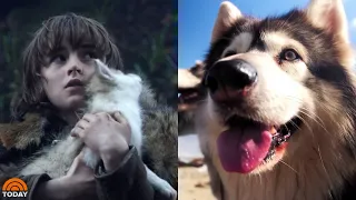 Meet The Real-Life Direwolves Of ‘Game Of Thrones’ | TODAY