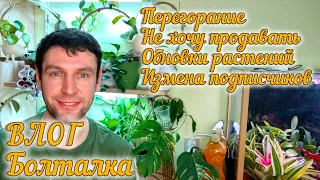 ВЛОГ /БОЛТАЛКА/ Измена подписчиков /Выгорание в цветоводстве/Продажи и НОВИНКИ 2024