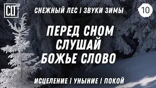 Бессонница? | Слушай Божье Слово перед сном | Заснеженные ели | Звуки зимы | Relaxing