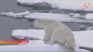 В Арктике продолжается уменьшение площадей льда