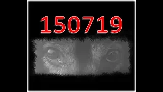150719 Der Tag an dem alles begann! 35 tote Hunde ...