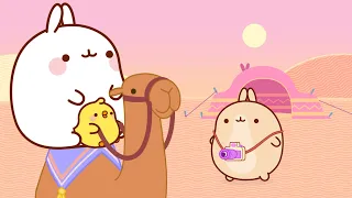 Molang and Piu Piu : An Unforgettable CAMEL Ride 🐫 | Funny Compilation For Kids