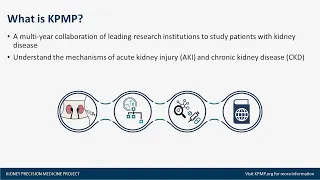 Disease Management: Advancements in Identification and Diagnosis of Kidney Diseases