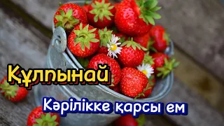 Құлпынайдың пайдасы. Құлпынай кәрілікке қарсы ем.