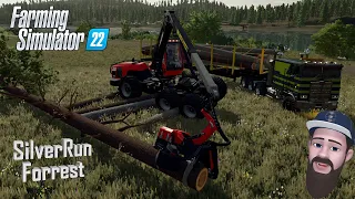 The ULTIMATE Logging BUILD in Farming Simulator 22 | SilverRun Forest | Forestry Equipment Tour