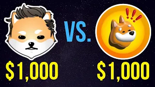 $1,000 Dogelon Mars vs. $1,000 BONK – Who Wins? | ELON or BONK?