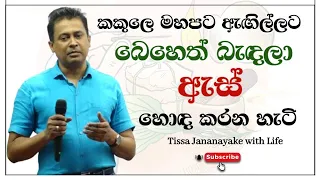 කකුලෙ මහපට ඇඟිල්ලට බෙහෙත් බැඳලා ඇස් හොඳ කරන හැටි | Tissa Jananayake with Life (EP 27)