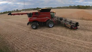 Fully Loaded - Grain Cart/Trucks Far Away - Case IH Axial-Flow® 8250  - Lenawee - Harvest 2020 - 4K