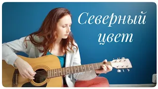 Северный цвет - Борис Гребенщиков - Аквариум ( Cover )