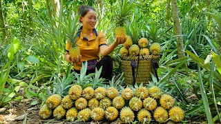 FULL VIDEO: 230 Days of Harvest Snail, White Radish, Pineapple, Guava Go market sell - Buil Farm