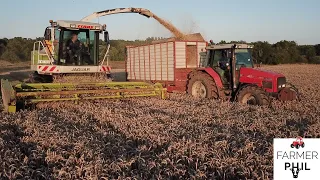 DONT GET STUCK THIS YEAR FATHER PHIL! WHOLECROP 2021