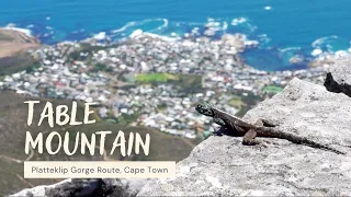 Climbing Table Mountain | Platteklip Gorge Route | Cape Town, South Africa