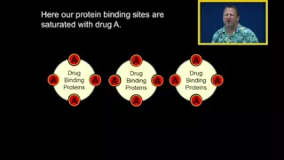 Protein Binding