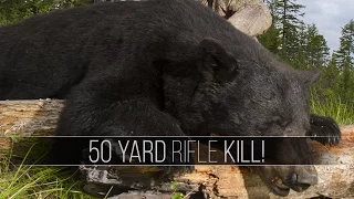 Giant Bear at 50 Yards! - Black Bear Hunt in British Columbia