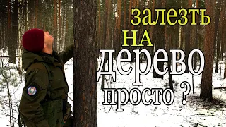 КАК залезть на дерево. climb a tree.