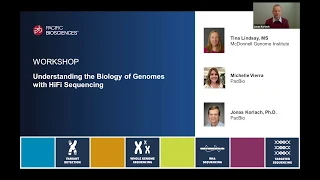 Understanding the Biology of Genomes with HiFi Sequencing
