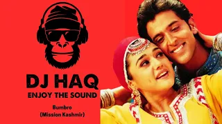 Bumbro | Mission Kashmir | DJ Haq | Hrithik Roshan | Preity Zinta | Bollywood Remix