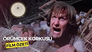 Zehirli Örümcekler Tüm Şehri İstila Etti | Örümcek Korkusu Türkçe Film Özeti