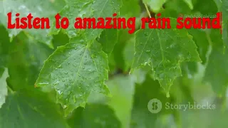 Nature sound for good feeling #life #listen #viral #forest #rain #baarish #amazing #thunderstorm