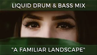 ► Liquid Drum & Bass Mix - "A Familiar Landscape" - January 2024