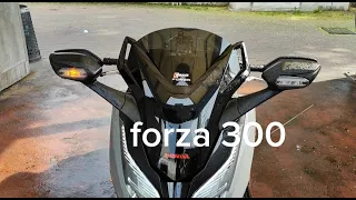 smoked  windshield honda forza