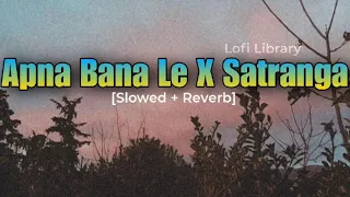 Apna Bana Le x Satranga [Slowed + Reverb] | Arjit Singh | Animal | #lofimusic #apnabanale #satranga