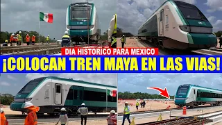 Mira! Inicia la colocación de los vagones del Tren Maya sobre las vías