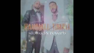 HammAli & Timati  -  Баю-Бай  [slowed & reverb]