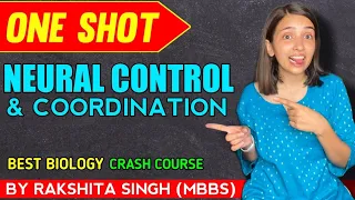 Neural Control And Coordination | One Shot |Class 11 NCERT | Rakshita singh