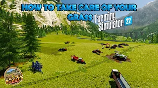 How To Take Care Of Your Grass! | Farming Simulator 22
