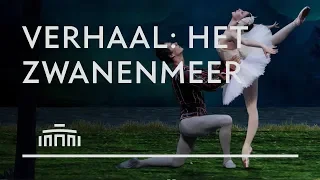 Verhaal: Het Zwanenmeer: animatie - Dutch National Ballet