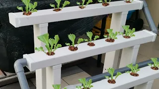 Hydroponic farm At home : Building DIY Hydroponic System .