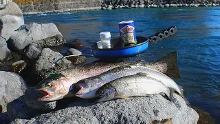 Catch n' Cook Rainbow Trout (Fish Sandwiches)