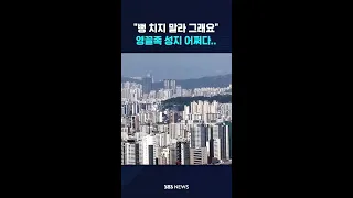 "뻥 치지 말라 그래요" 영끌족 성지 어쩌다.. #shorts