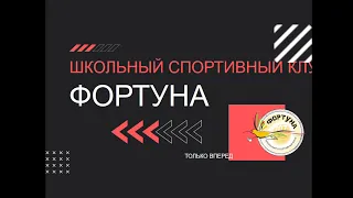 О деятельности школьных спортивных клубов