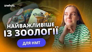 Найважливіше із зоології для НМТ