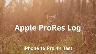 iPhone 15 Pro - Apple ProRes LOG Test Footage and How-to