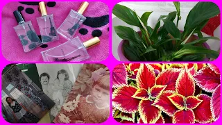 ФОТО ИЗ ДЕТСТВА🧚‍♀️НОВЫЕ ПАРФЮМЫ💐КОЛЕУС/ХАМСТВО В МАГАЗИНЕ🙅‍♀️ПОКРАСИЛАСЬ/ЖЕНСКОЕ СЧАСТЬЕ💘#PD PARIS#