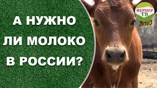 А нужно ли молоко в России?