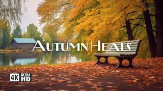 Autumn Music Heals the Heart 🍁 Gentle Music Restores the Nervous System and Refreshes the Soul