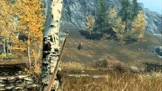 Bear Hunting Instant Kill Head Shot Longbow