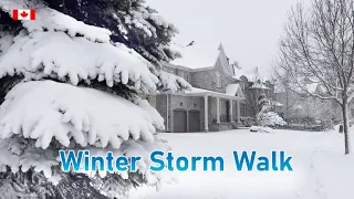 Winter Snow Storm Walk in Toronto GTA Suburbs