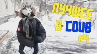 ЛУЧШИЕ ПРИКОЛЫ В COUB #4 THE BEST COUB #4