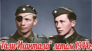 Битва "Тали-Ихантала" летом 1944г. Почему финны считают её своей Великой Победой?