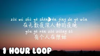 1 HOUR LOOP/一小时循环/1시간반복【阿拉斯加海湾-蓝心羽】A LA SI JIA HAI WAN-LAN XIN YU /Pinyin Lyrics, 拼音歌词, 병음가사