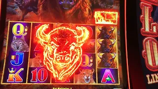 💥New Slot Machine💥 Buffalo Link - First Time Playing saw multiple features and nice wins!