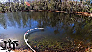 "Trophy BASS pond: Catching GIANT Fish with Wild Shiners!"