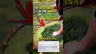 The Healthiest Food In The World. Spirulina | #facts #amazingfacts #viralvideo