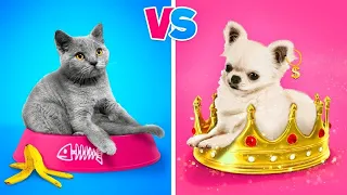 Perro Rico VS Gato Pobre | Si la Familia Billonaria VS la Pobre Adoptan una Mascota